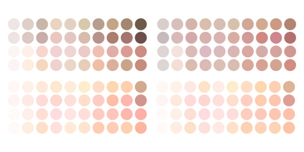 Skin tones palettes. Big collection. Beauty sphere. Paint texture. Fashion style. Vector illustration. Stock image. Skin tones palettes. Big collection. Beauty sphere. Paint texture. Fashion style. Vector illustration. Stock image. EPS 10. skin tone chart stock illustrations