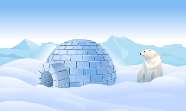 illustrazioni stock, clip art, cartoni animati e icone di tendenza di igloo nel nord. abitazioni nel nord. orso hanno un igloo. paesaggio settentrionale. la vita nel nord nel ghiaccio. l'orso polare ha un igloo. illustrazione vettoriale - igloo