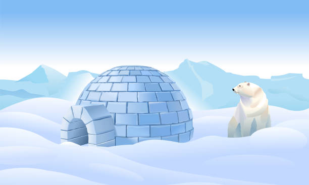 ilustrações de stock, clip art, desenhos animados e ícones de igloo in the north. housing in the north. bear have an igloo. northern landscape. life in the north in the ice. polar bear have an igloo. vector illustration - igloo