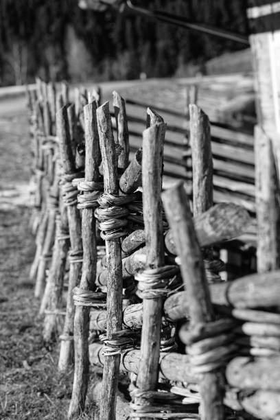 Old Braided Fence