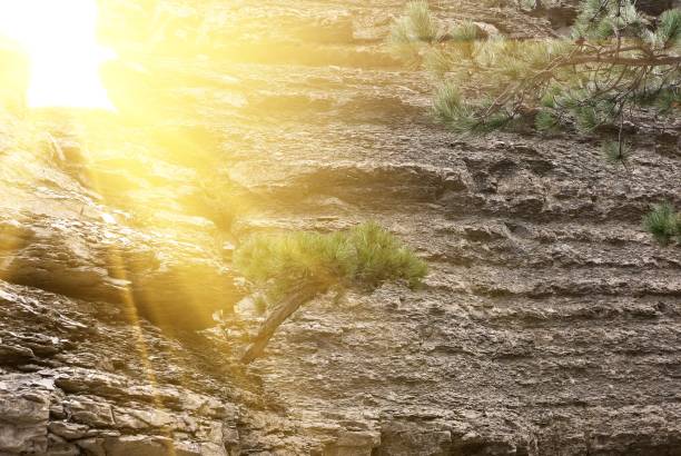 Free Stock Photo of Sun Shining Brightly Through Rocks | Download Free ...