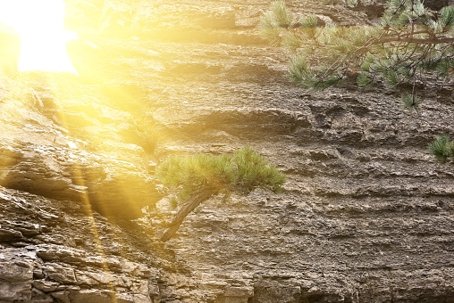 sunrays pushing through crack in a rock