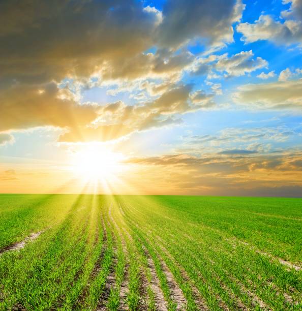 istock rural scene at the evening 1363045221