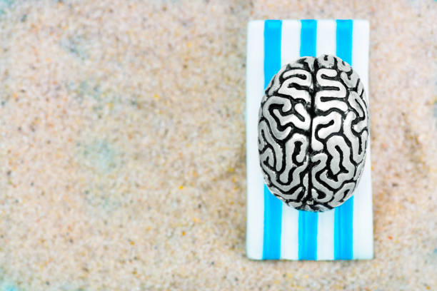 istock Human brain lying on a sun bed on a sandy beach 1363047764