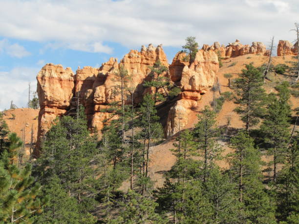 istock Bryce Canyon National Park Utah USA 1363047838
