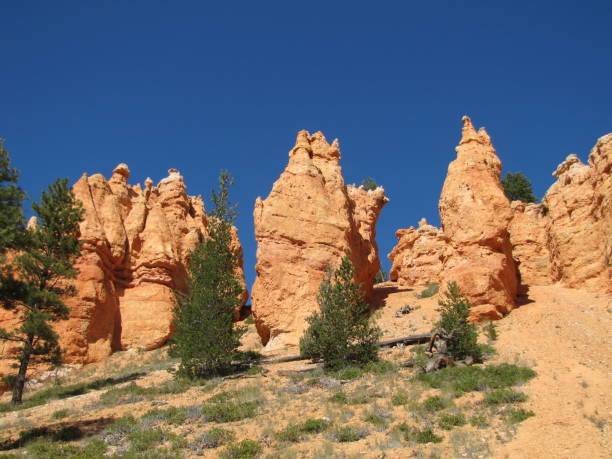 istock Bryce Canyon National Park Utah USA 1363047878