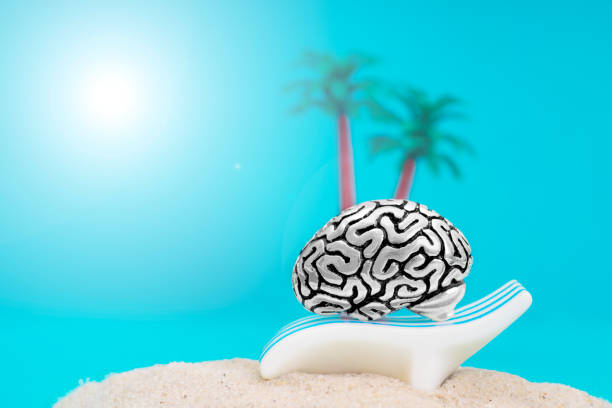 istock Human brain relaxing on a sunbed 1363047884