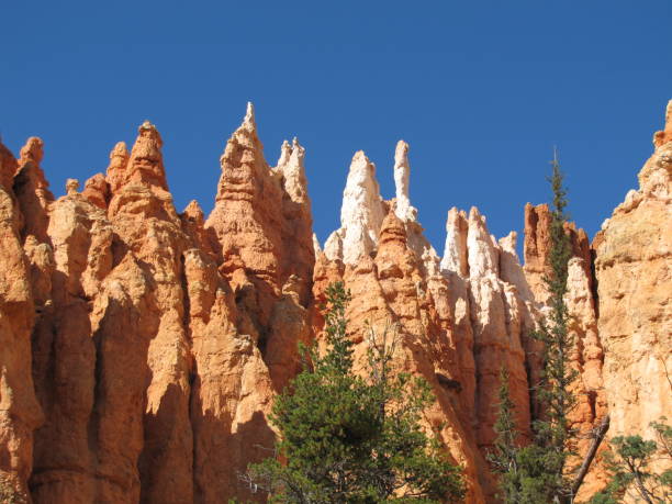 istock Bryce Canyon National Park Utah USA 1363047975