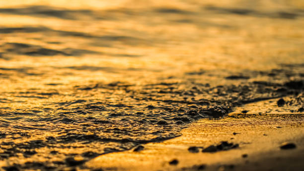 istock Flowing wave on the sea sandy beach at sunset. Summer vacation background 1363053445