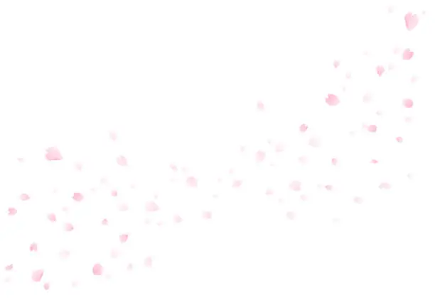 Vector illustration of Cherry Blossom Blizzard Background, Cherry Blossom Frame