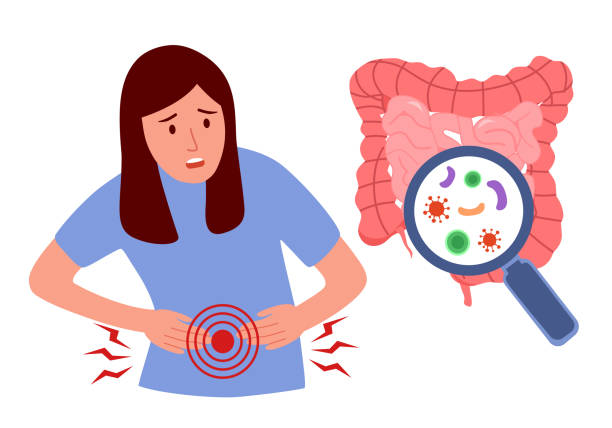Woman having stomachache campylobacter infection. Bacteria in intestine in flat design. Food poisoning. Diarrhea or digestive system problem. Woman having stomachache campylobacter infection. Bacteria in intestine in flat design. Food poisoning. Diarrhea or digestive system problem. food poisoning stock illustrations