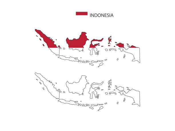 vektor kota peta indonesia dibagi dengan garis besar gaya kesederhanaan. memiliki 2 versi, versi garis tipis hitam dan warna versi bendera negara. kedua peta berada di latar belakang putih. - indonesia ilustrasi stok
