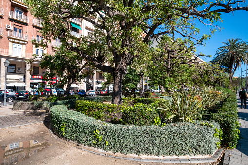 Shops and people visible near this public park in Downtown District in Valencia, Spain