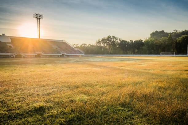 スタジアムの背景のフィールド - soccer soccer field grass american football ストックフォトと画像