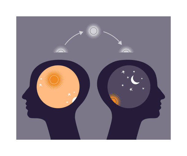 istock Two head silhouettes with day and night symbols. Concept of circadian rhythm. Difference between early risers and late sleepers. 1363058111