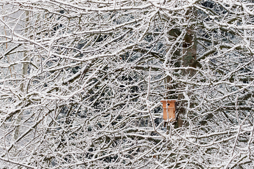 Beautiful winter scene of a bird house covered in snow to help passerine birds during cold season in Vosges, France.