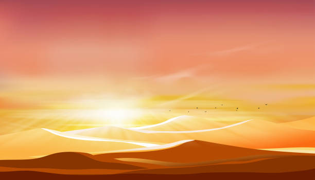 zachód słońca na pustynnym krajobrazie z wydmami z pomarańczowym niebem wieczorem, ilustracja wektorowa piękna przyroda ze wschodem słońca rano, tło sztandaru dla islamu, muzułmanin dla eid mubarak, eid al fitr - natal stock illustrations