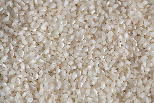 Small and round short-grained white rice laid flat, dry and fresh popular cereal, staple food for over half the world's population, prepared as main or side dish, background macro shot with copy space.