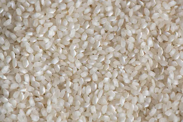 Photo of Short-grained white rice laid flat, dry and fresh popular cereal, staple food for over half the world's population