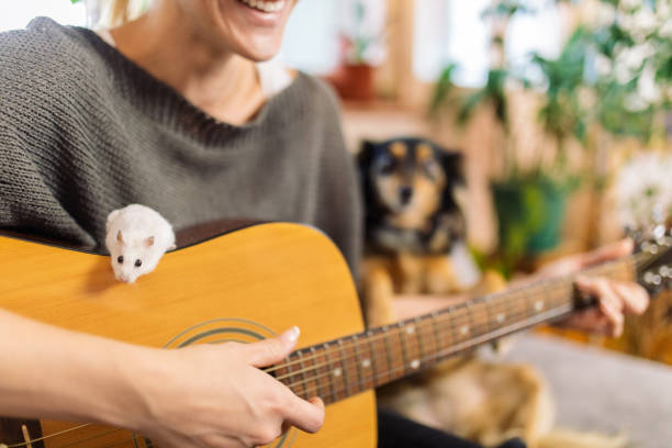 Young woman playing guitar in her living room and singing while her dog is sitting beside her and little white mouse is on the guitar. They are both very cheerful and playful.