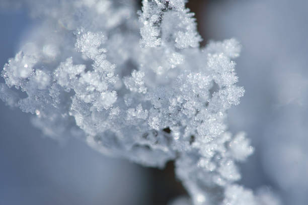 istock Ice crystals formed on a branch and point in all directions. Structural and bizarre shapes were formed. 1363064368