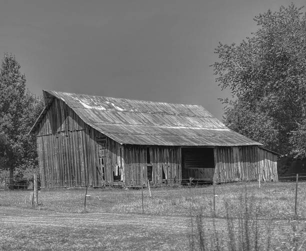 istock Old Abandoned Barn in Rural Arkansas 1363066290