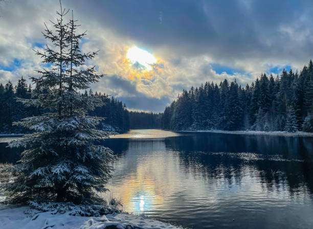 istock lake in the vogtland mountains 1363066295