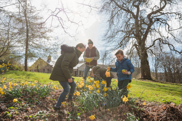 ich habe einen gefunden! - daffodil easter egg hunt easter easter egg stock-fotos und bilder