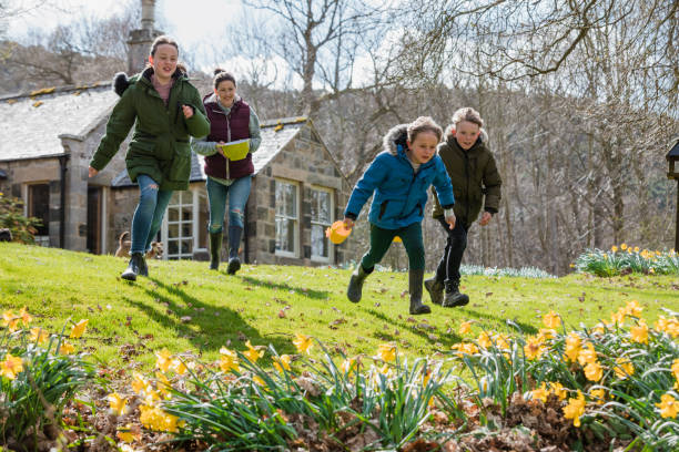 buscando huevos de pascua - daffodil easter egg hunt easter easter egg fotografías e imágenes de stock