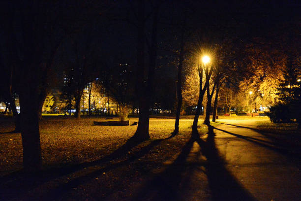 mysterious city night in a park with big trees - paedophilia imagens e fotografias de stock