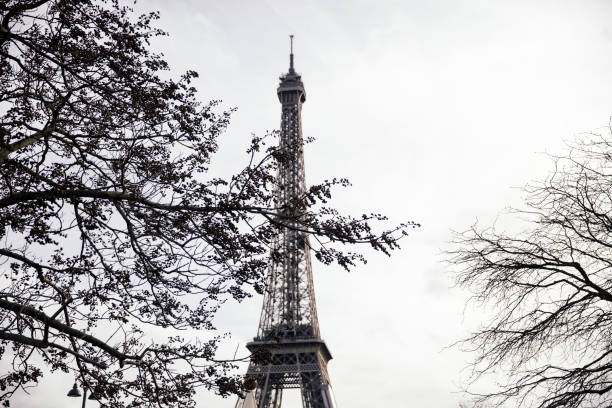istock Eiffel tower in Paris, France 1363073817