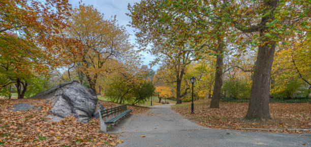 istock Autumn in Central Park landscape 1363075800