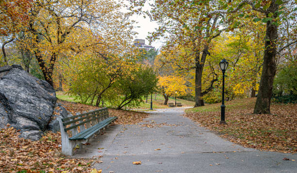 istock Autumn in Central Park landscape 1363075817