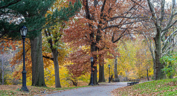 istock Autumn in Central Park landscape 1363076395