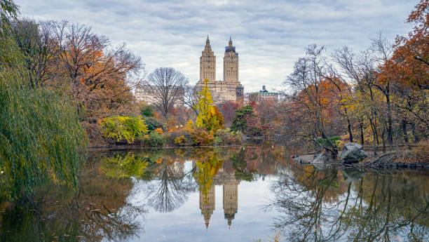 istock Autumn in Central Park landscape 1363076541