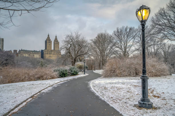 istock Central Park in winter after snow storm 1363076549