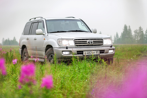 Novyy Urengoy, Russia - August 4, 2021: Grey expedition vehicle Toyota Land Cruiser 100 in a foggy grassland.