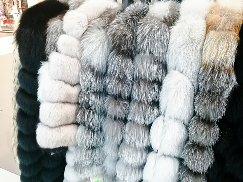 Genuine fur coats of different colors and varieties on display in the store.