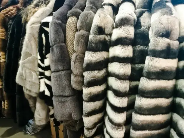 Genuine fur coats of different colors and varieties on display in the store.