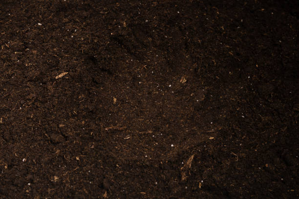 istock Woman hand trace on a ground. 1363081189