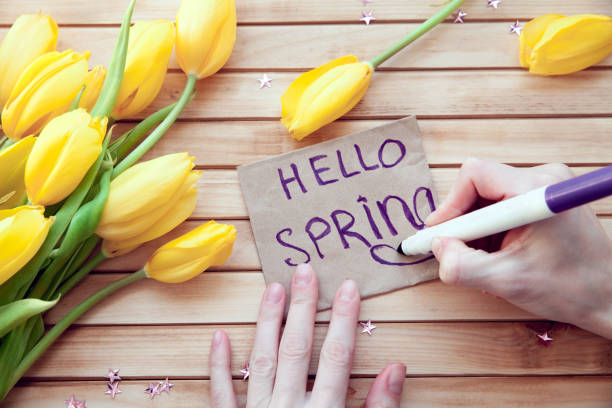 istock yellow tulips with inscription 