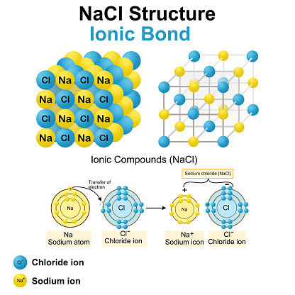 Nacl Electron Shell Nacl Model On White Background Stock Illustration - Download Image Now ...