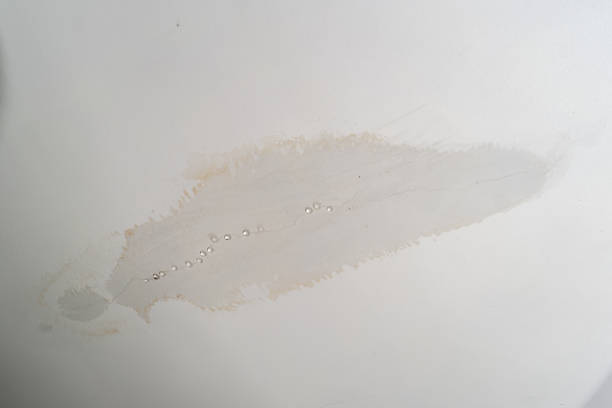 Leaky roof dampness in bedroom ceiling walls. Water droplets forming and dripping from damp ceiling from rain water flooding. Close shot, no people stock photo