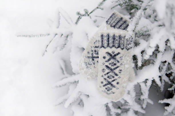 white mittens with a pattern on a snow Christmas tree in the forest in winter fur tree
