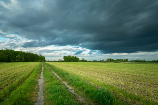 istock Road through stubble and cloudy sky, spring landscape 1363088387