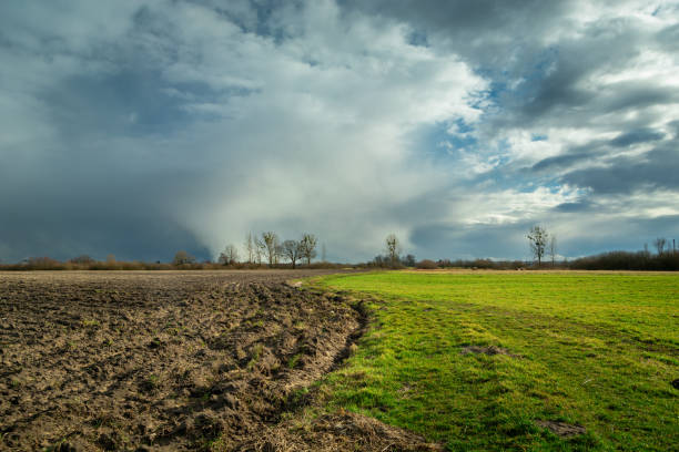 istock Rural landscape with a plowed field and a meadow with a cloudy sky 1363088425