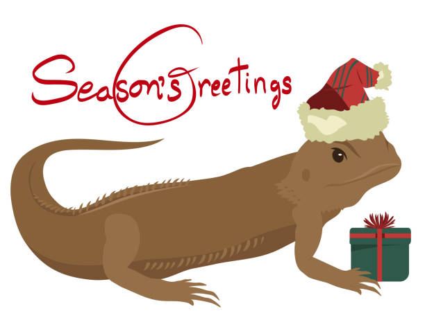 Cute Christmas Lizard Brown Lizard wearing a Santa Claus hat and holding a present , funny holiday season card bearded dragon cartoon stock illustrations
