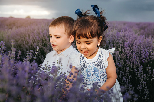 Two happy children in the lavender flowers. Brother and sister are playing in the middle of the lavender field. Beautiful lavender flowers concept. Dramatic sky
