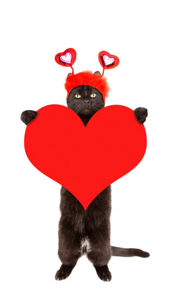 istock Valentine's Day Cat Holding Big Heart 1363091228
