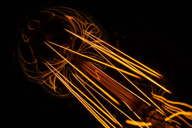 istock Glowing filaments in a lamp 1363092894